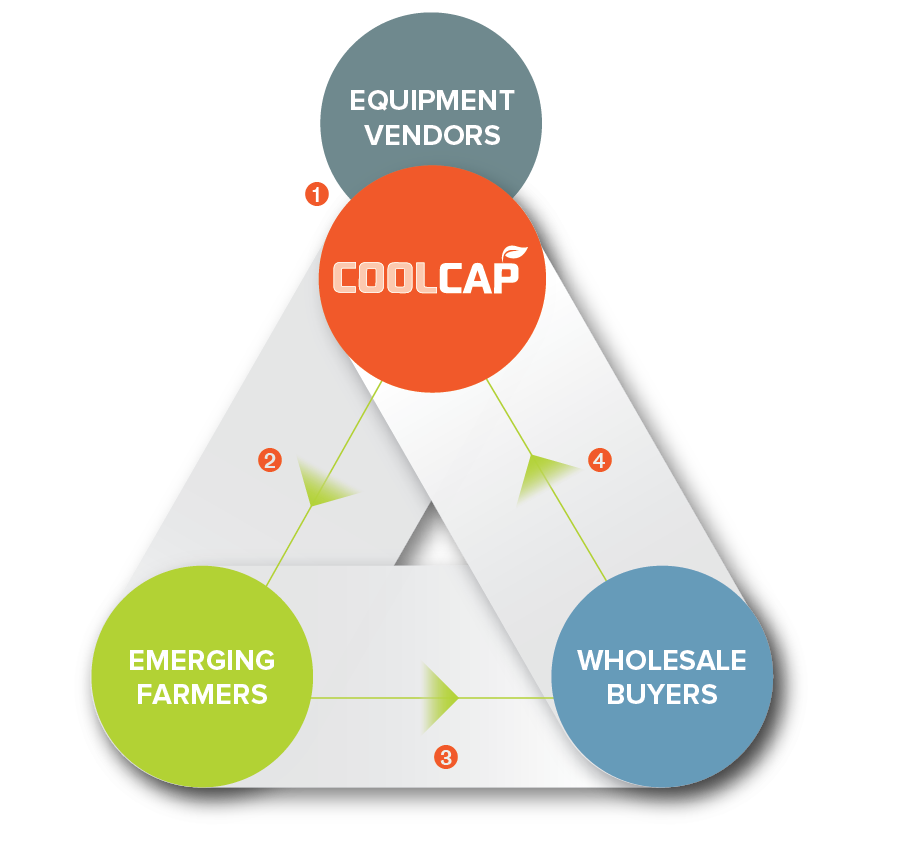 The CoolCap Model, part 2: A completed triangle between CoolCap, superimposed over Equipment Vendors, Emerging Farmers and Wholesale Buyers. CoolCap buys equipment from the Vendors in bulk and sells it to the Farmers at 10% interest, repayable at harvest. Farmers relay their payments through the Buyers, who remit to CoolCap. To keep the cycle going, Vendors provide Farmers After-Sales Parts & Service, and Buyers will Identify new Emerging Farmers for CoolCap.